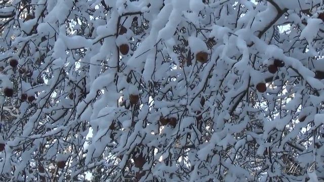 Мелодия для души...  Лирическая  -  Вадим Гурьев.   Vadim Guryev - Lyrical.