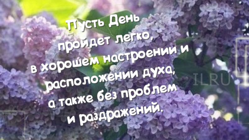 Добрый День ? Желаю тебе чудесного, волшебного, невероятно позитивного дня