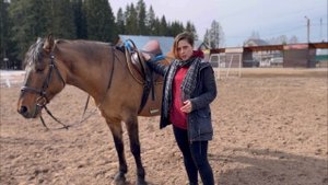 Конный спорт в Кирове