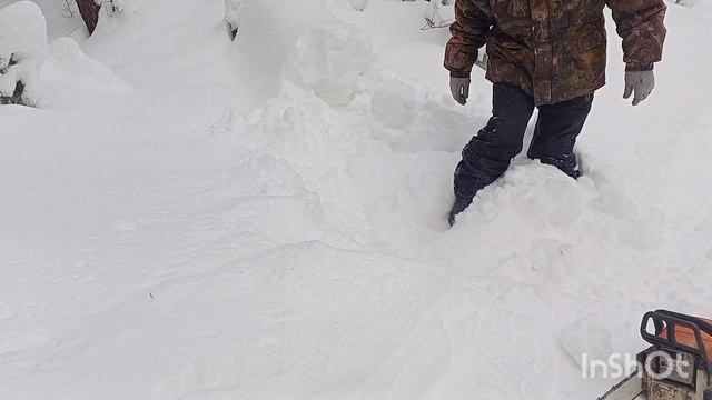 В ЛЕС ПОСЛЕ РЕМОНТА❄️❄️❄️❄️❄️ смотреть онлайн