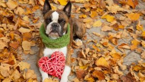 «Веселый саксофон»-музыка Геннадия Юрьева