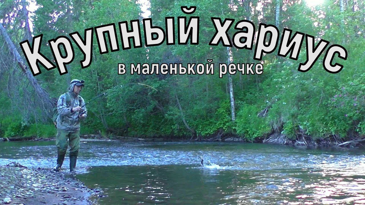 Таежная речка хариус