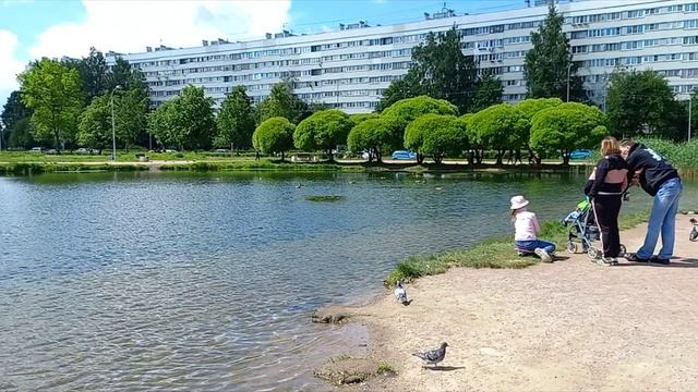 Питер Получилось подстроиться под город