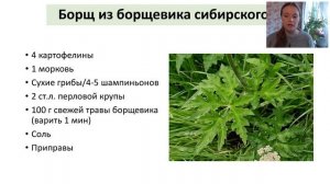 Зелёная кулинария/Еда из диких трав/Ольга Дзюбан и Оксана Мицкевич