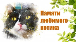 Памяти любимого котика