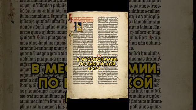 Как переписывали СВЯЩЕННУЮ БИБЛИЮ? #история #познавательно