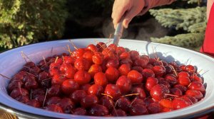 Прозрачное варенье из ранеток с хвостиками.