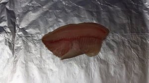 Рецепт приготовления филе тилапии с грибами в мультиварке VITEK VT-4215 BW