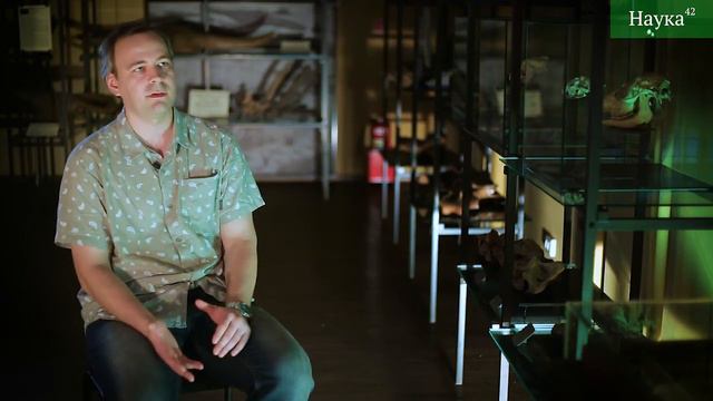 Nauka42 Test смотреть онлайн