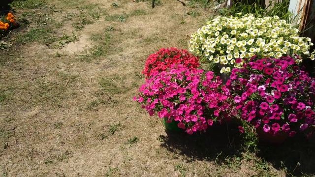 12 июля 2020 г. смотреть онлайн