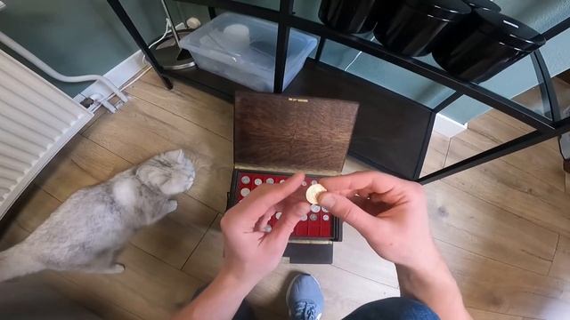 Как правильно хранить коллекцию монет! По типу или по годам. смотреть онлайн