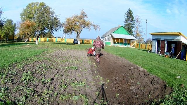 Первое испытание конного плуга мотоблоком МТЗ смотреть онлайн