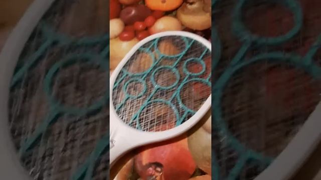Электрошокер для тараканов и прочих насекомых.