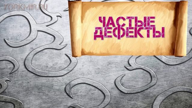 Бракованный йоркширский терьер | Как избежать брака.
