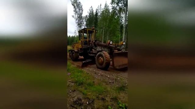 Формирование грейдером профиля подъездной дороги к клюквенной плантации