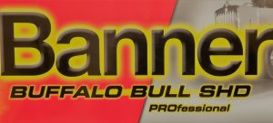 Аккумулятор BANNER Buffalo Bull SHD PROfessional (725 03) 225 евро 1150A