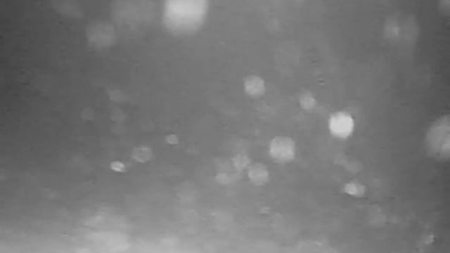 Рыбалка с Calipso Деревяшка 22 декабря сорога смотреть онлайн