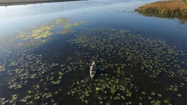 Охота на гуся c каяка в Канаде. смотреть онлайн
