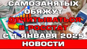 Самозанятых обяжут отчитываться в Росстат с 1 января 2025 Новости