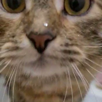 ГРЭС - УМЫВАЛЬНИКОВ НАЧАЛЬНИЦА !!! смотреть онлайн