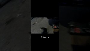 TOYOTA приехал заглушил и не заводится?