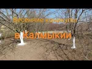 Весенние каникулы в Калмыкии