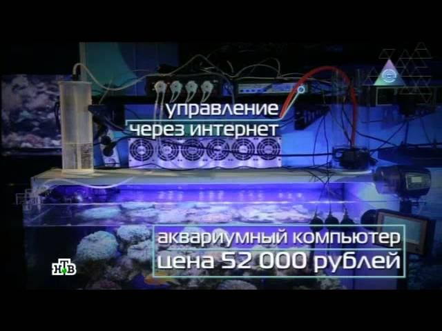 Чудо техники - Выпуск от 2 февраля 2014 года