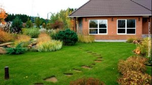 ❀ 8 наиболее частых ошибок в уходе за газоном