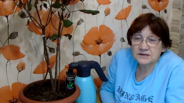 ВЛОГ/Время формировать фуксии))Зачем?? Для пышного цветения летом))  посылка с и/м ДАЧА ФЕРМА ОГОРО