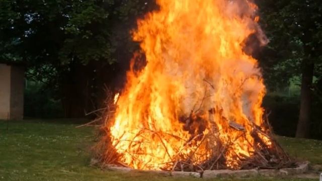 Древесная зола как удобрение смотреть онлайн