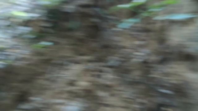 Ливневка 1940го года под недостроенной веткой ЖД Казань - Бугульма смотреть онлайн