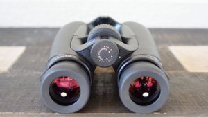 Best Binoculars For Hunting - Swarovski NL Pure vs Zeiss Victory SF vs Leica Noctivid
