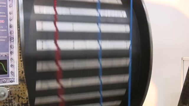 Трогать разрешено! Необычная выставка "Яблоко Ньютона" открылась в МВЦ 24.11.22 смотреть онлайн