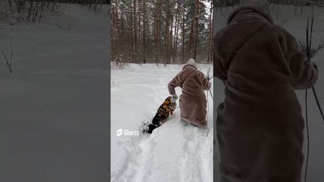 Ищем дружно Деда Мороза!!!Новому Году Быть!!!???СуперДед.?❄️❄️❄️❄️❄️☃️