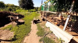 Хозяин дома, все как по маслу// у мамы отпуск