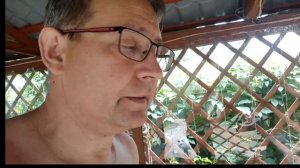 Монолитный поликарбонат - неожиданный конец