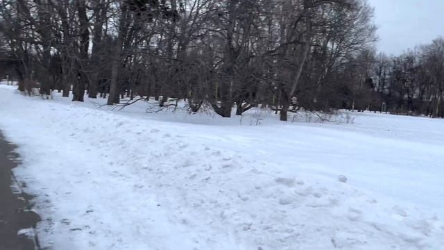 Насыщенные дни, сосиски в тесте, воробьевы горы, канатная дорога, Лужники, ребра в духовке, КИДБУРГ