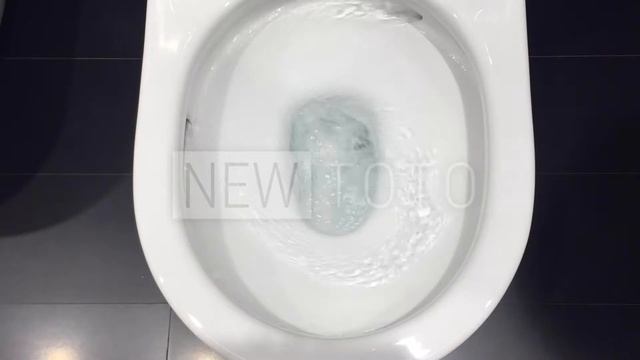 Унитазы ТОТО Washlet RX / SX: круговой смыв торнадо. Японская электронная сантехника