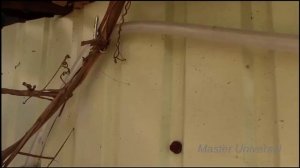 Контроль уровня воды в больших баках,интересное решение.