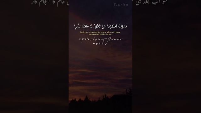 Surah Al-An'aam| verse:135| beautiful Quran recitation| #shotrs #short_videos