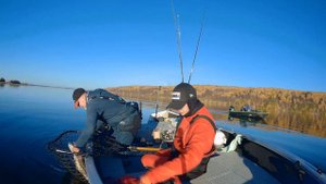 Bull Dawg или Бульдог. История одной поклёвки.