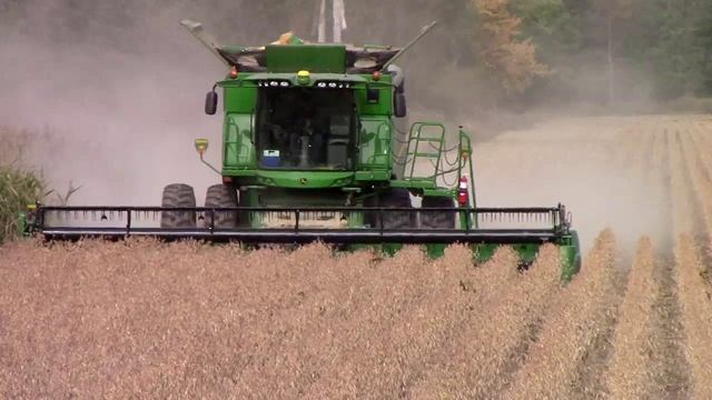 Le phomopsis du soya смотреть онлайн