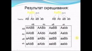 Дигибридное  скрещивание. Биология 9 класс.