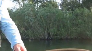 Обской язь нахлыстом-2