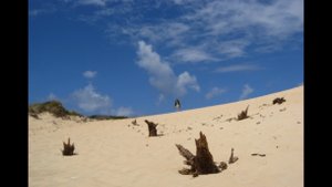 как пустыня САХАРА засыпает песком ИСПАНИЮ.