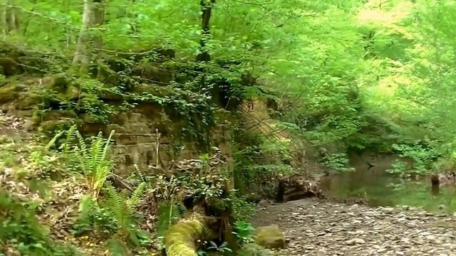 24_04_2016_ПРОГУЛКА ПО р АГУРА_ХОСТИНСКИЙ р_н_ СОЧИ.mp4 смотреть онлайн