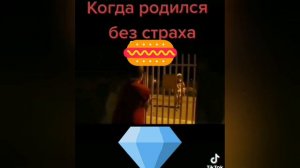 когда родился без страха 2.0