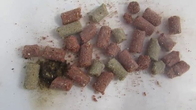 ТЕхнология успеха гранулы клубника