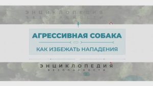 Энциклопедия безопасности. Нападение собаки