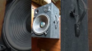 Испытание акустики Alphard BB1202C до переделки